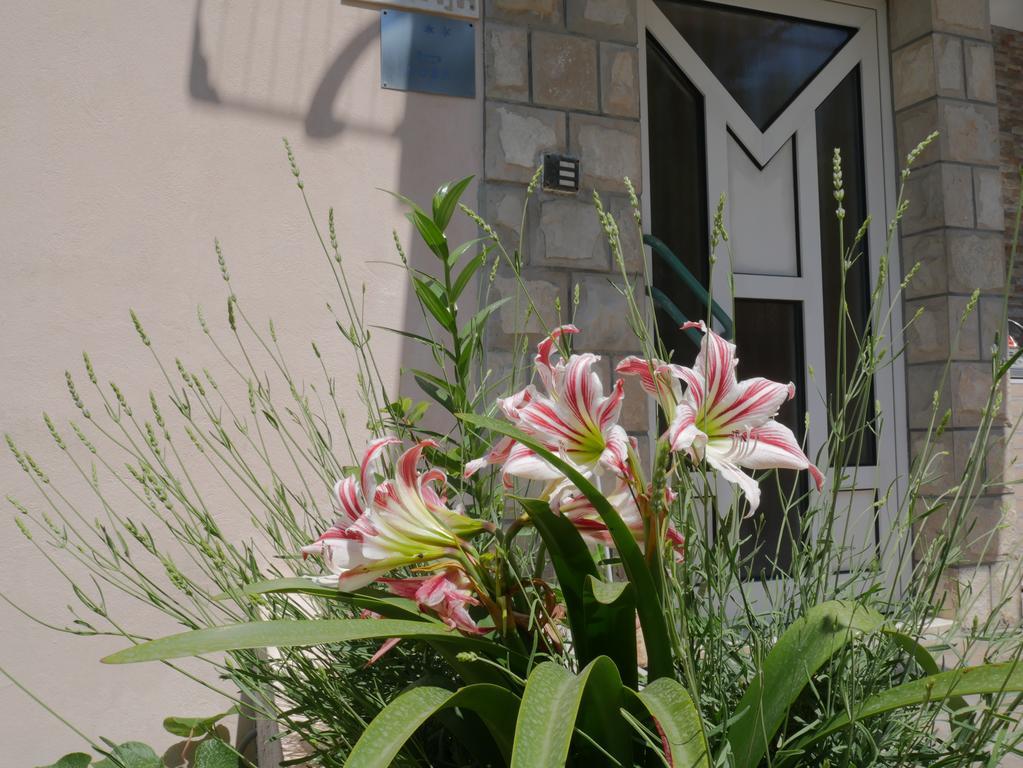 Guest House Almond Bečići Zewnętrze zdjęcie